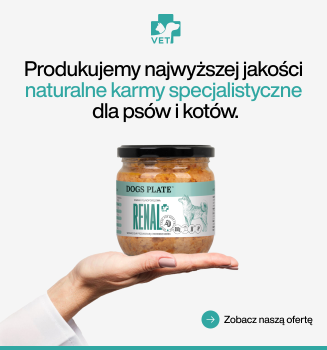 Dieta jako element leczenia
